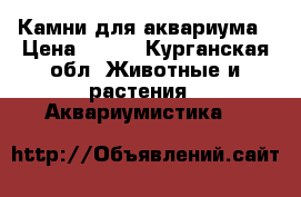 Камни для аквариума › Цена ­ 100 - Курганская обл. Животные и растения » Аквариумистика   